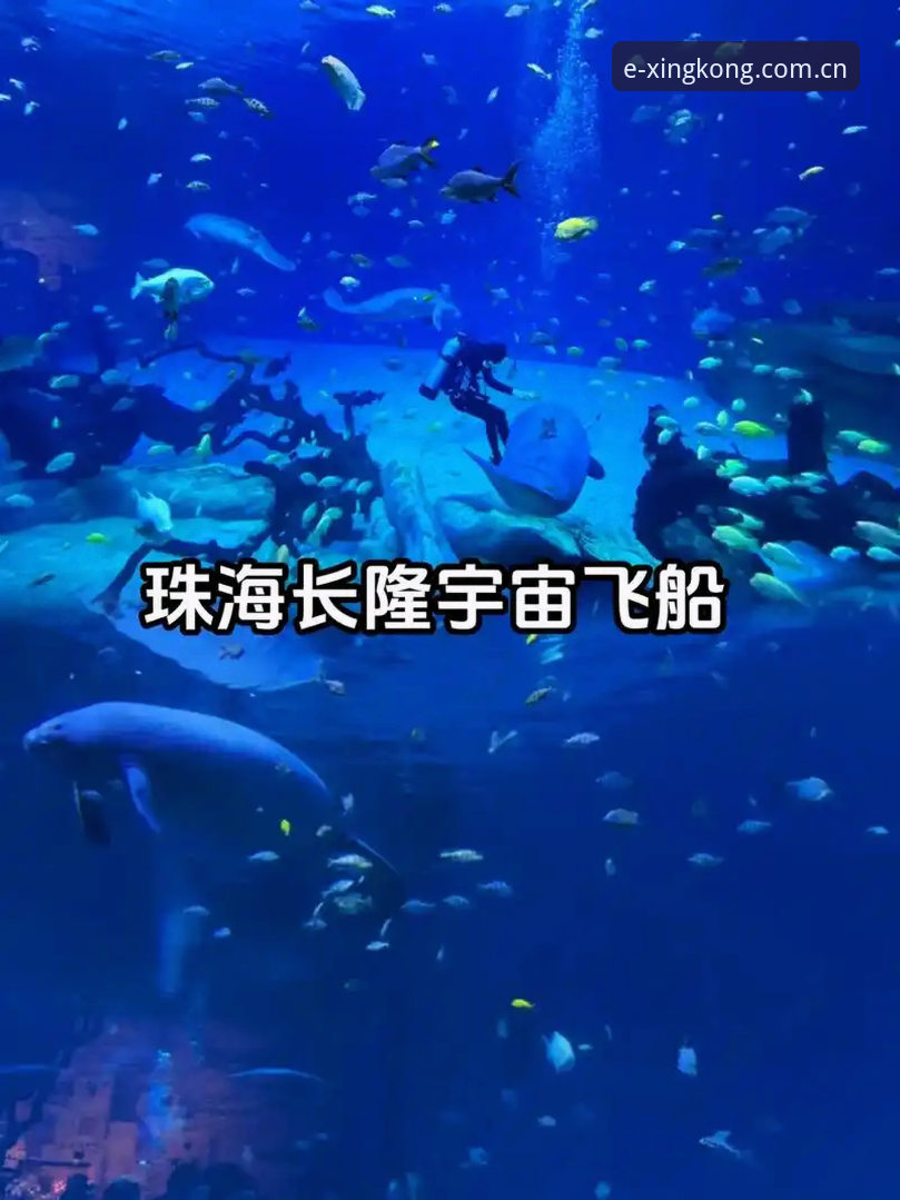 星空体育更新日志 星空体育平台版本更新日志深度解读教程:从v2.1.0看移动端体验升级